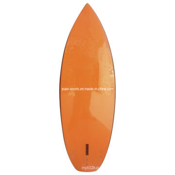 High Quality Windsurf Board for Windsurf Board, Carbon Rail, Customized Board for Various Size, Colour